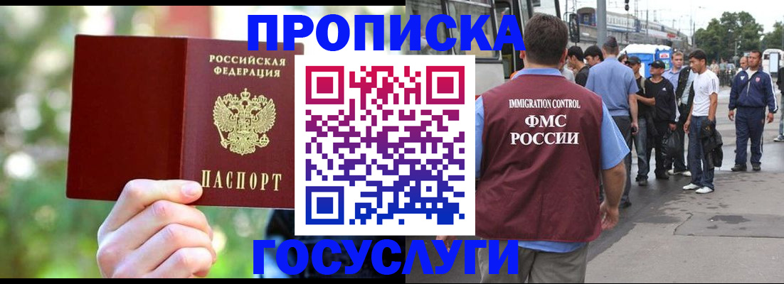 прописка поиск в Тереке